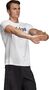 adidas Herren Design 2 Move Climacool Logo T-Shirt
