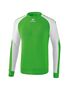 Erima Essential 5-C Training Sweat - green/white