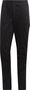adidas Herren TERREX Skyrunning Hose