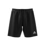 adidas Kinder Tastigo 19 Shorts