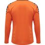 Hummel Hmlauthentic Poly Jersey L/S - tangerine