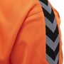 Hummel Hmlauthentic Poly Jersey L/S - tangerine