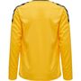 Hummel Hmlauthentic Kids Poly Jersey L/S - sports yellow/black