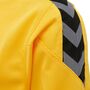 Hummel Hmlauthentic Kids Poly Jersey L/S - sports yellow/black