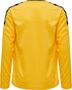 Hummel Hmlauthentic Kids Poly Jersey L/S - sports yellow/black