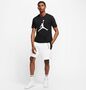 Nike M J Jumpman Ss Crew T-Shirt