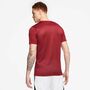Nike Dri-FIT Park 7 JBY Herren Fu�ball Trikot