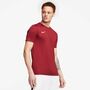 Nike Dri-FIT Park 7 JBY Herren Fu�ball Trikot