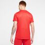 Nike Dri-FIT Park 7 JBY Herren Fu�ball Trikot