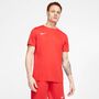 Nike Dri-FIT Park 7 JBY Herren Fu�ball Trikot