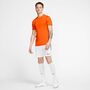 Nike Dri-FIT Park 7 JBY Herren Fu�ball Trikot