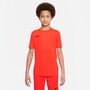 Nike Dri-FIT Park 7 Big Kinder Fu�ball Trikot