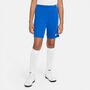 Nike Dri-FIT Park 3 Big Kinder Fu�ball Shorts