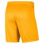Nike Dri-FIT Park 3 Herren Knit Fu�ball Shorts