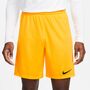 Nike Dri-FIT Park 3 Herren Knit Fu�ball Shorts