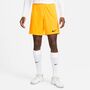Nike Dri-FIT Park 3 Herren Knit Fu�ball Shorts