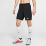 Nike Dri-FIT Park 3 Herren Knit Fu�ball Shorts