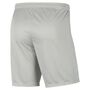 Nike Dri-FIT Park 3 Herren Knit Fu�ball Shorts