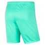 Nike Dri-FIT Park 3 Herren Knit Fu�ball Shorts