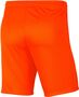Nike Dri-FIT Park 3 Herren Knit Fu�ball Shorts