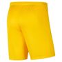 Nike Dri-FIT Park 3 Herren Knit Fu�ball Shorts