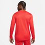 Nike Dri-FIT Park VII Herren Long-Sleeve Fu�ball Trikot