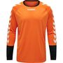 Hummel Essential Torwarttrikot