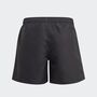 adidas Classic Badge of Sport Badeshorts
