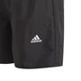 adidas Classic Badge of Sport Badeshorts