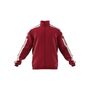 adidas Herren Squadra 21 Pr�sentationsjacke