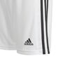 adidas Kinder Squadra 21 Shorts