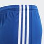 adidas Squadra 21 Shorts
