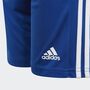 adidas Squadra 21 Shorts