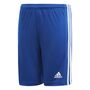 adidas Squadra 21 Shorts