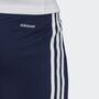 adidas Herren Squadra 21 Shorts