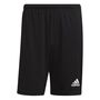 adidas Herren Squadra 21 Shorts