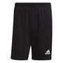 adidas Herren Squadra 21 Shorts