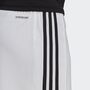 adidas Herren Squadra 21 Shorts