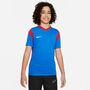 Nike Dri-Fit Prk Drb III Trikot