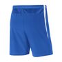 Nike Dri-Fit Venom Shorts kurze Hose III Woven
