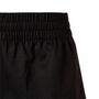Puma PERFORMANCE WOVEN 3 SHORT W - black