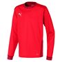Puma Teamgoal 23 Jersey Ls Jr - puma red-chili pepper