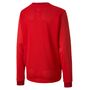 Puma Teamgoal 23 Jersey Ls Jr - puma red-chili pepper