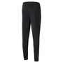 Puma teamRISE Poly Training Pants - schwarz
