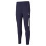 Puma teamLIGA Training Pants Pro - blau