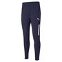 Puma teamLIGA Training Pants Pro - blau