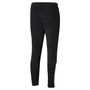 Puma teamLIGA Training Pants - schwarz