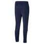 Puma teamLIGA Training Pants - blau