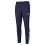 Puma teamLIGA Training Pants - blau
