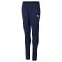 Puma teamRISE Poly Training Pants Jr - blau